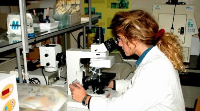 PHYTOPATHOLOGICAL ANALYSES